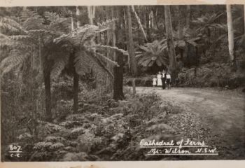 Historical Postcards of Mt Wilson