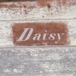 daisys nameplate