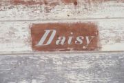 daisys nameplate