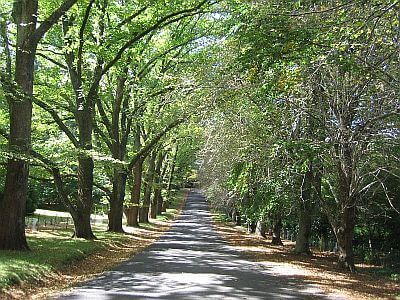 Looking along The Avenue towards the Church